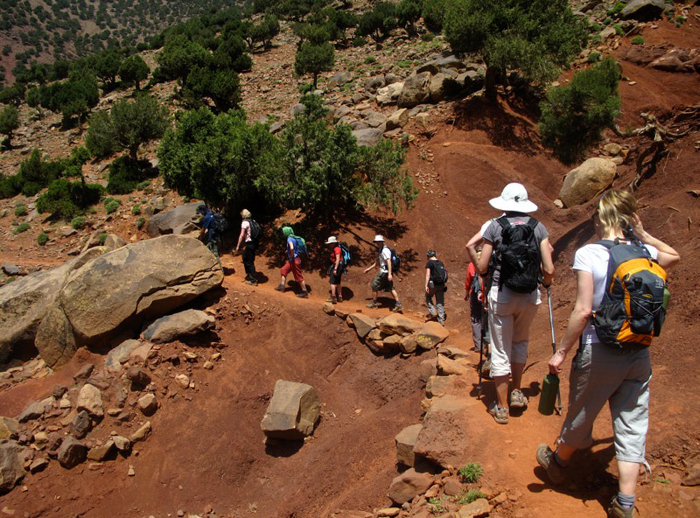 Sahara Desert Adventure